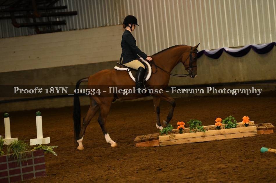 Proof 18YN_00534