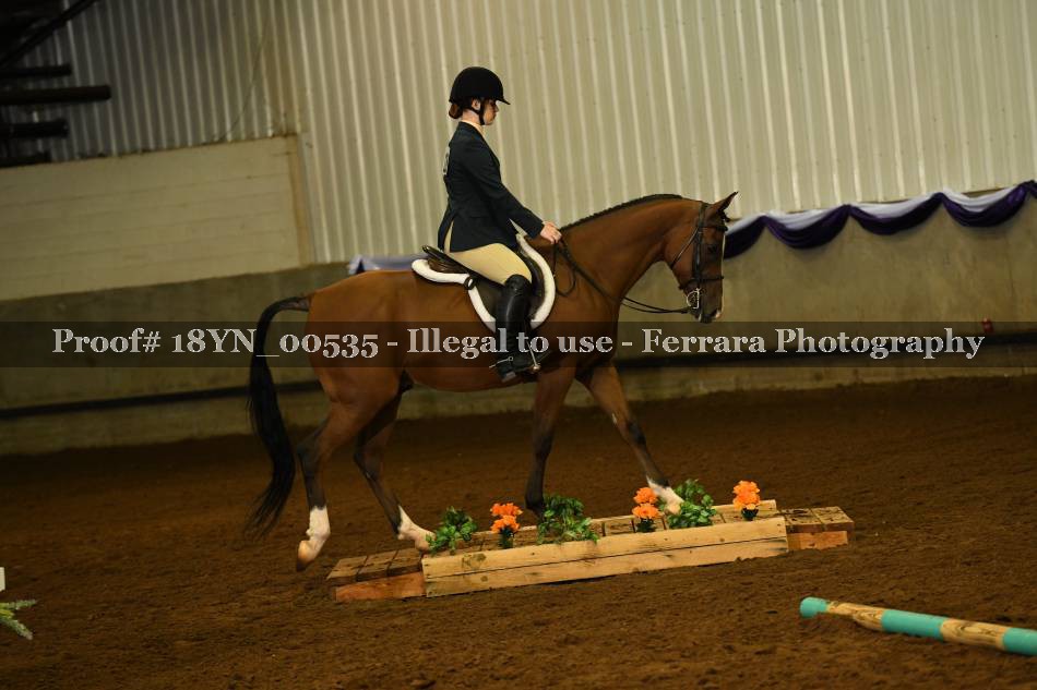 Proof 18YN_00535
