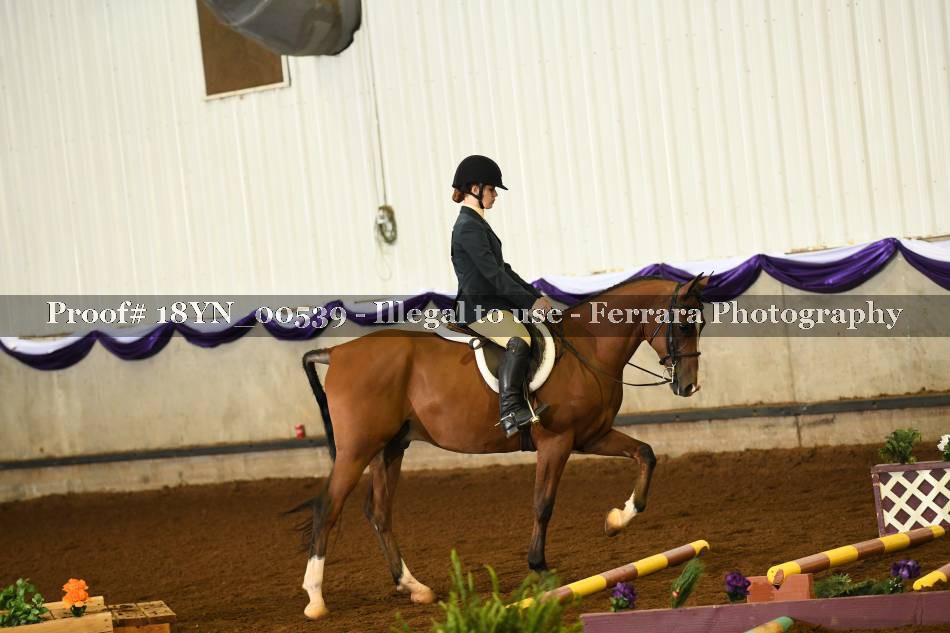 Proof 18YN_00539