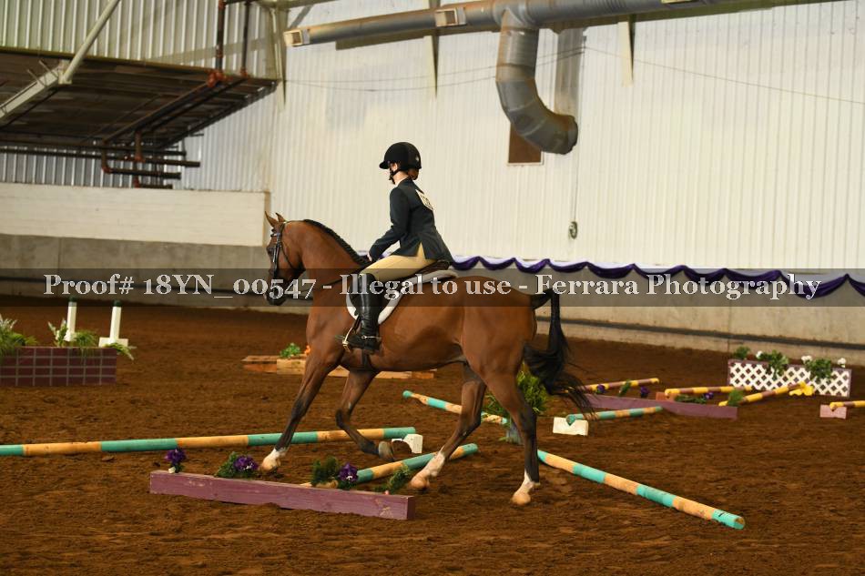 Proof 18YN_00547