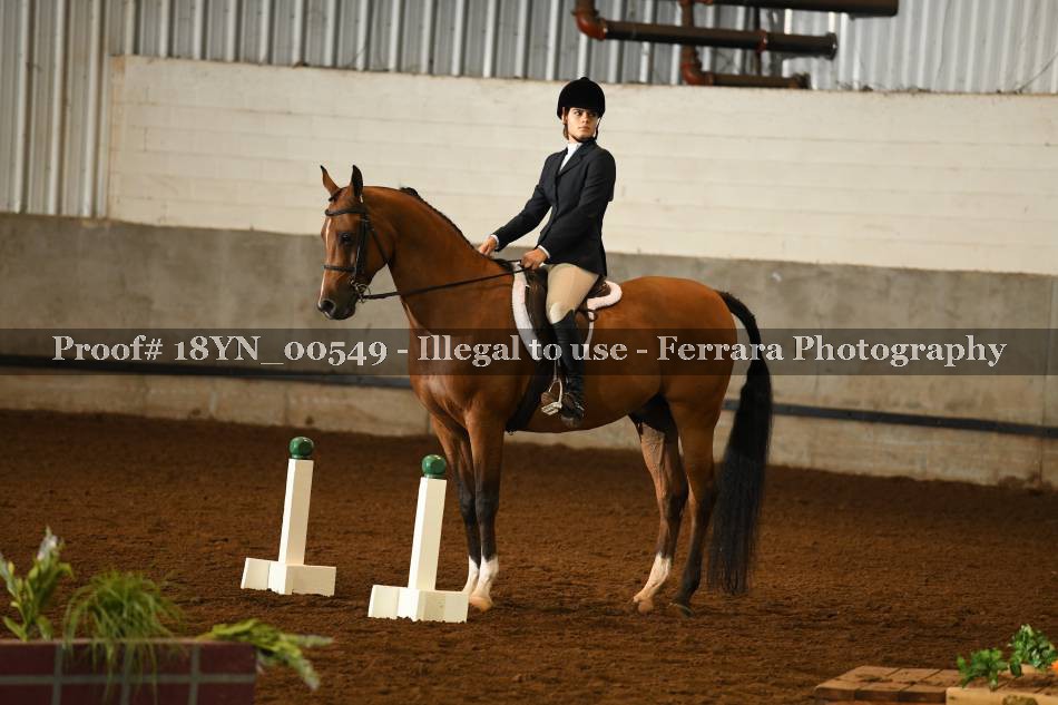 Proof 18YN_00549