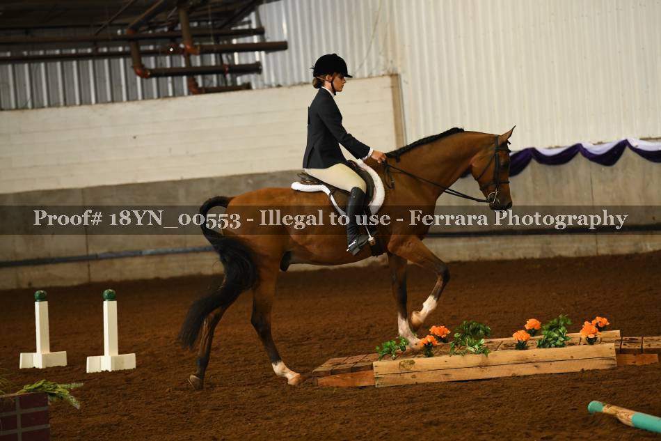 Proof 18YN_00553