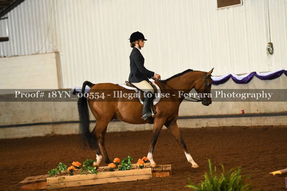 Proof 18YN_00554