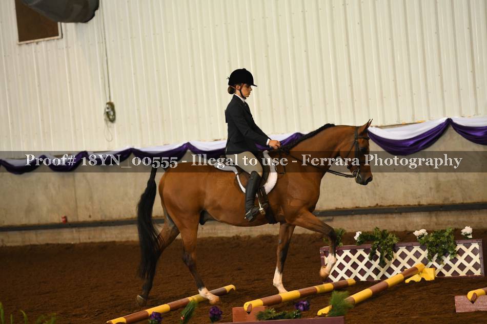 Proof 18YN_00555