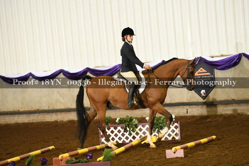 Proof 18YN_00556