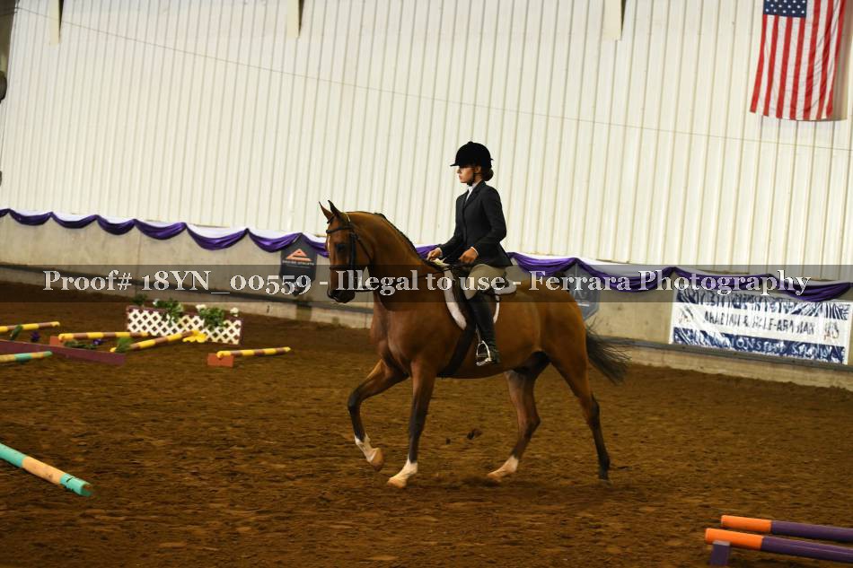 Proof 18YN_00559