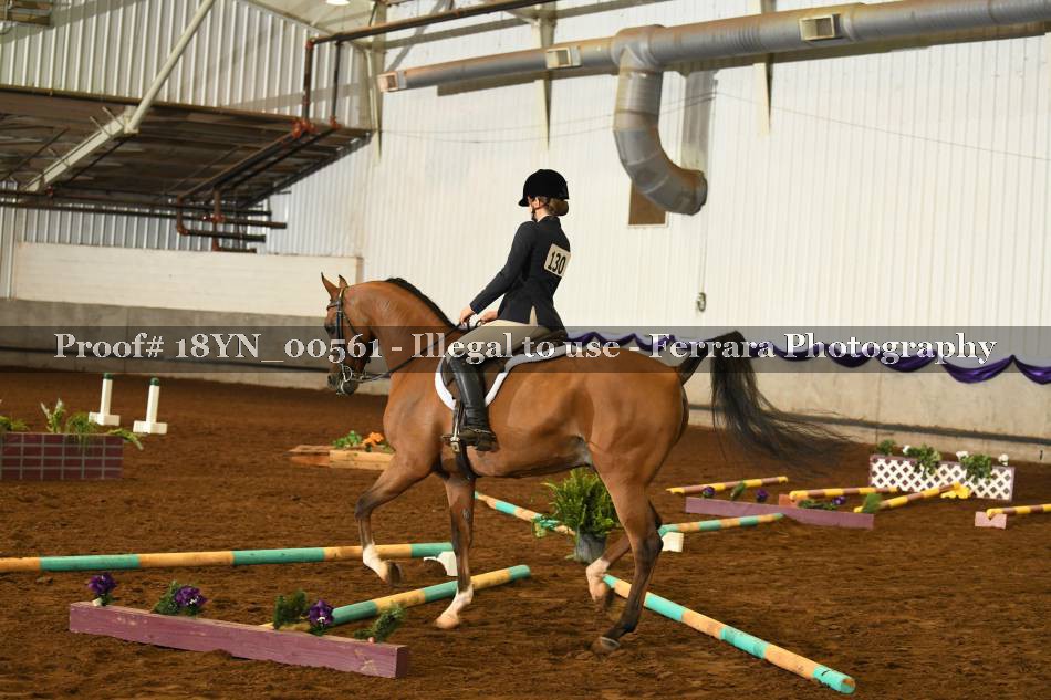 Proof 18YN_00561