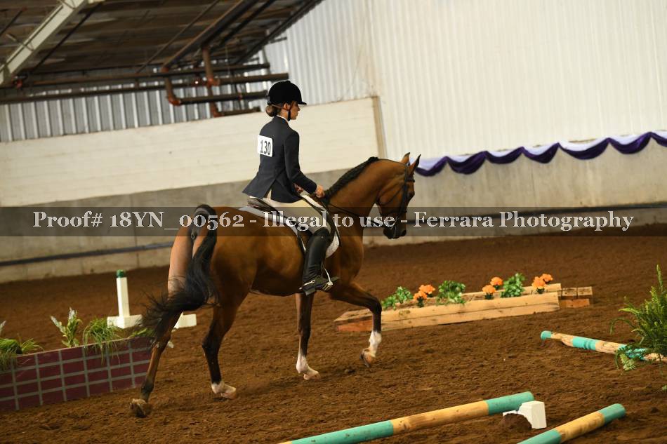 Proof 18YN_00562