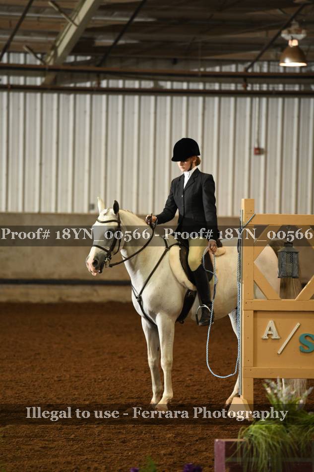 Proof 18YN_00566
