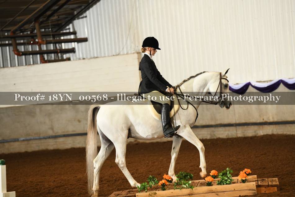 Proof 18YN_00568