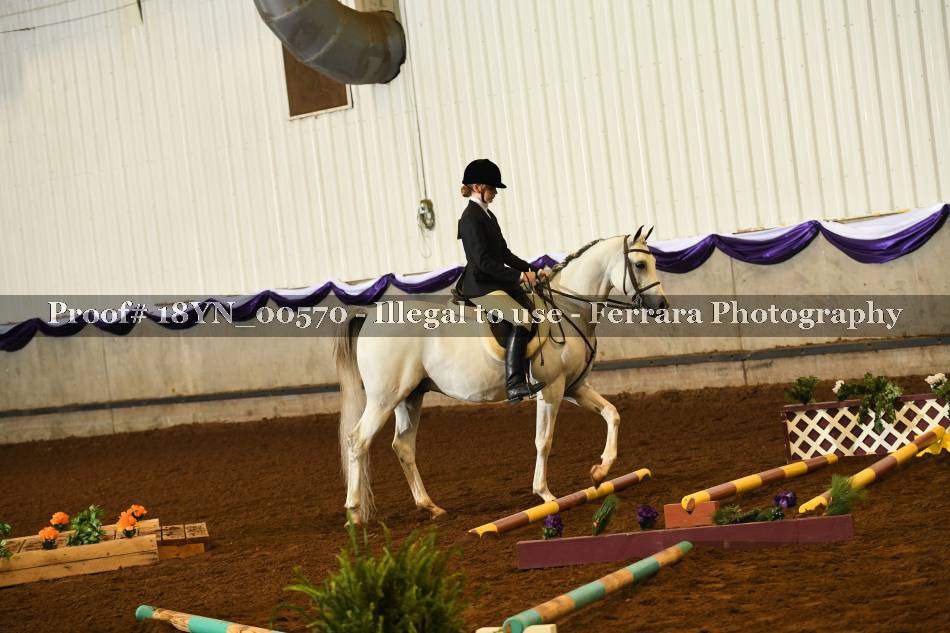 Proof 18YN_00570