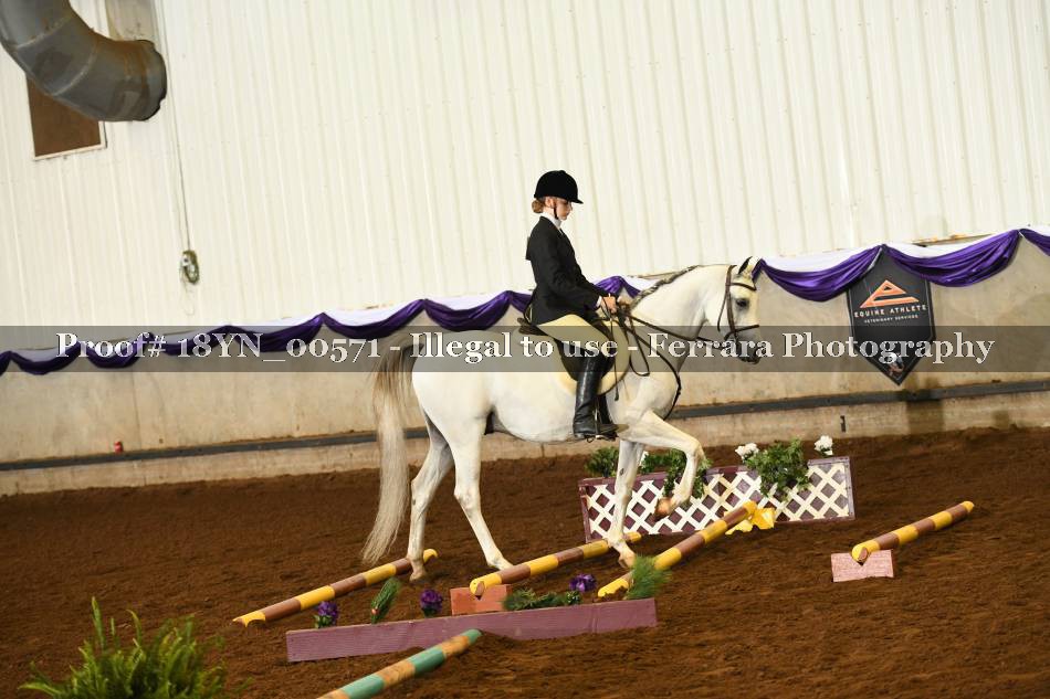 Proof 18YN_00571
