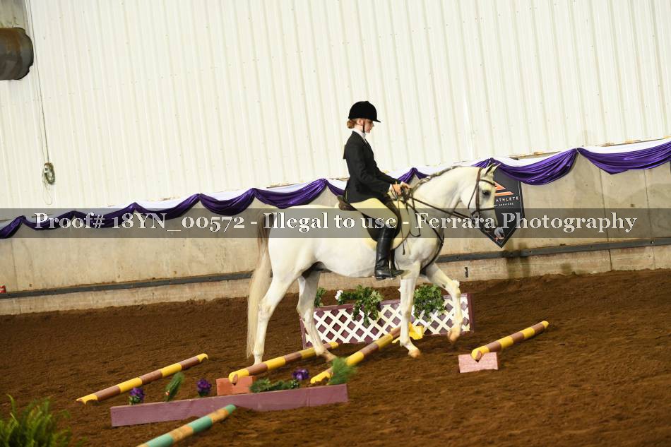 Proof 18YN_00572