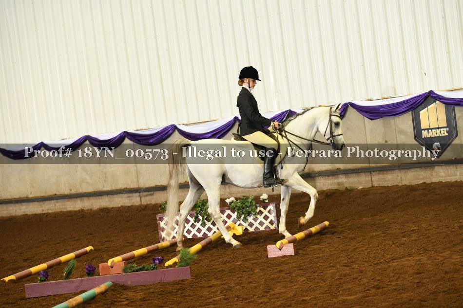 Proof 18YN_00573