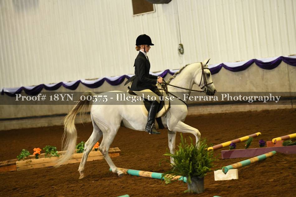 Proof 18YN_00575