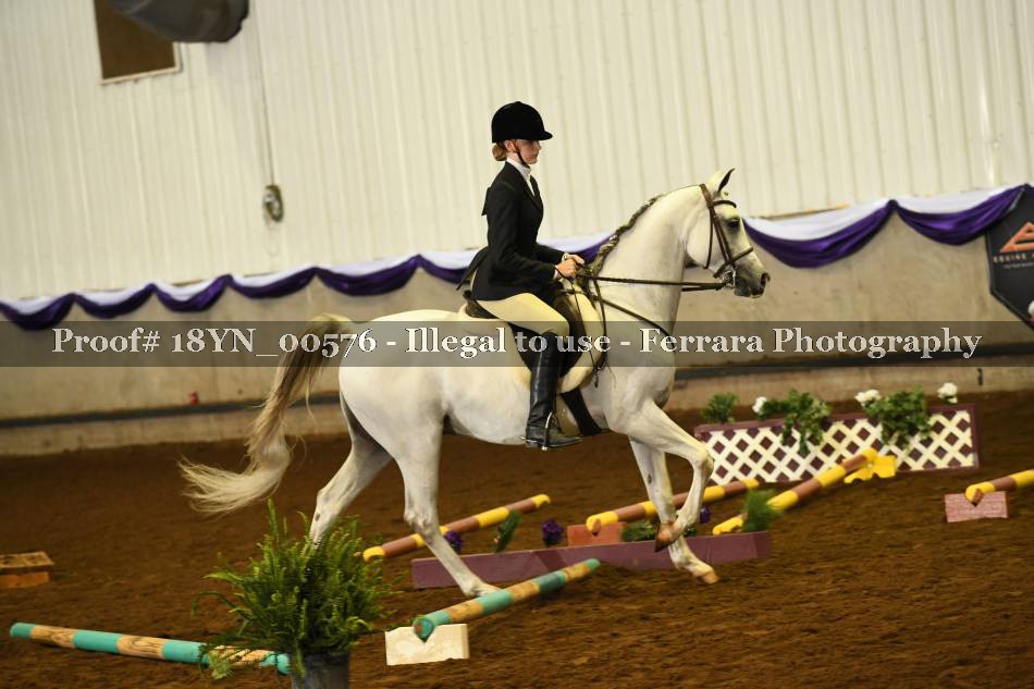 Proof 18YN_00576