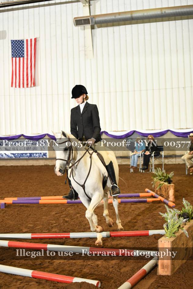 Proof 18YN_00577