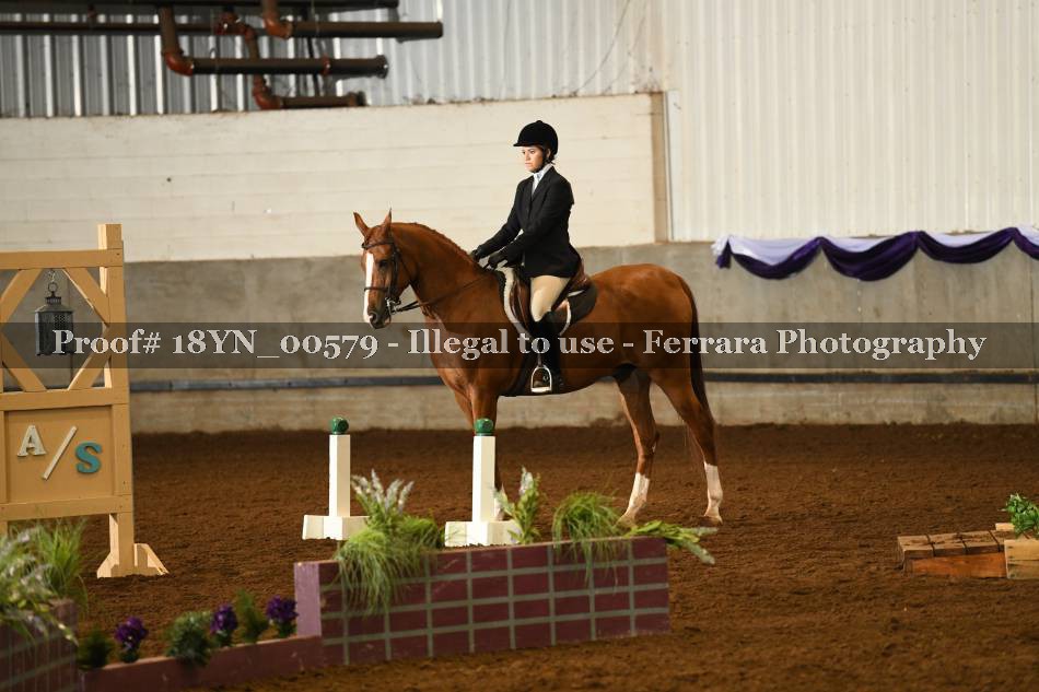 Proof 18YN_00579