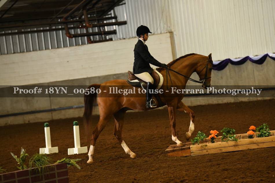 Proof 18YN_00580