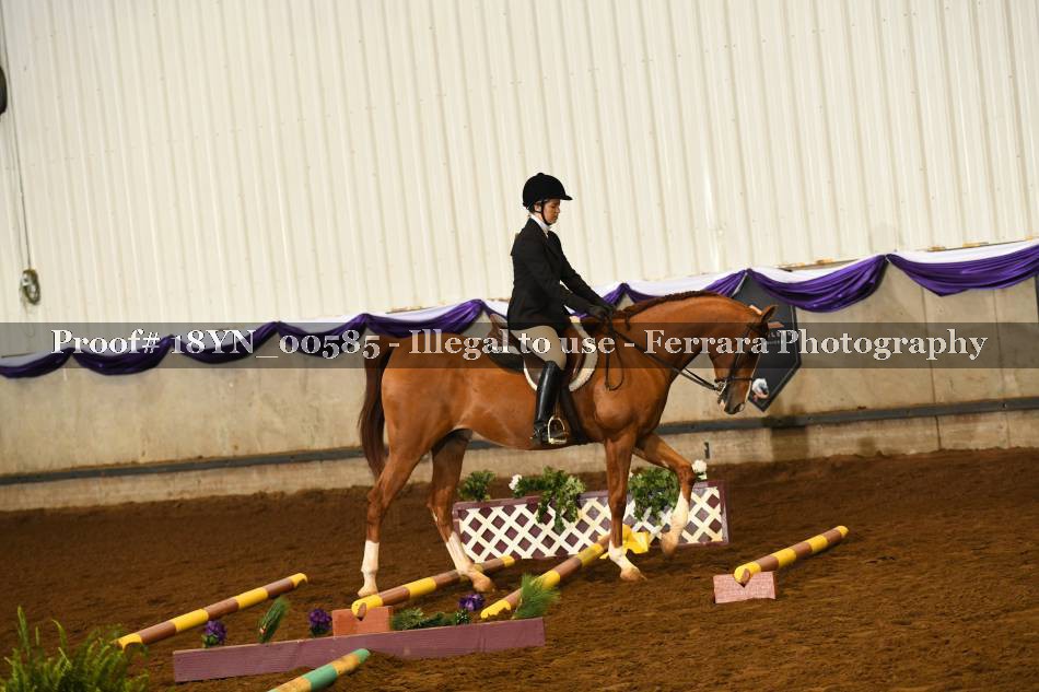 Proof 18YN_00585