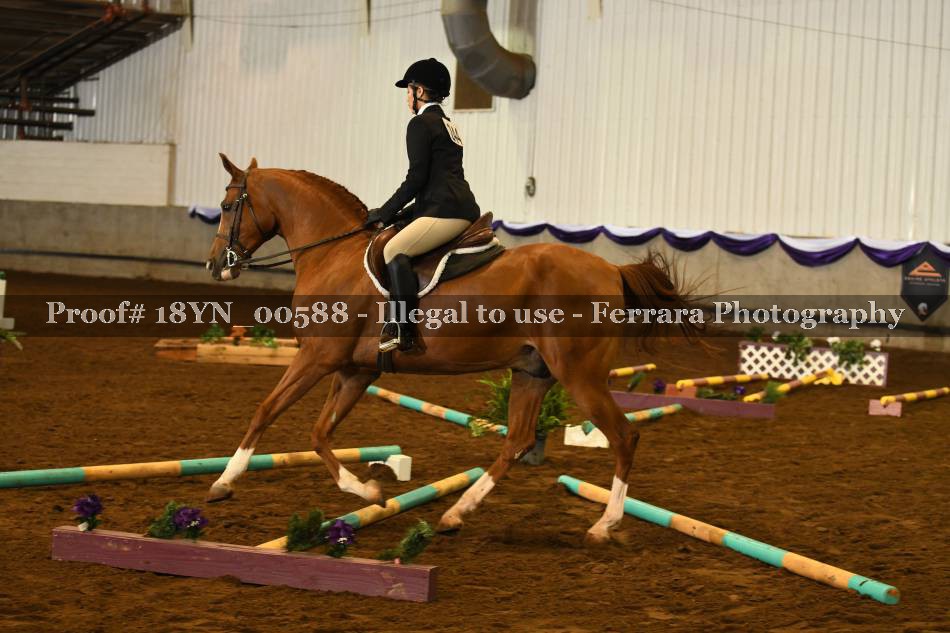 Proof 18YN_00588