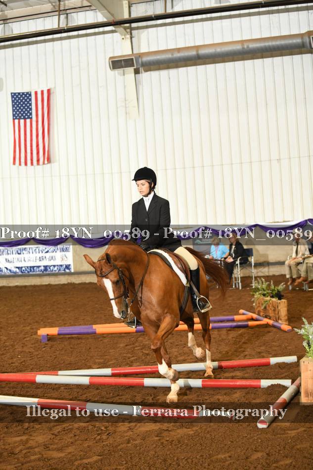 Proof 18YN_00589