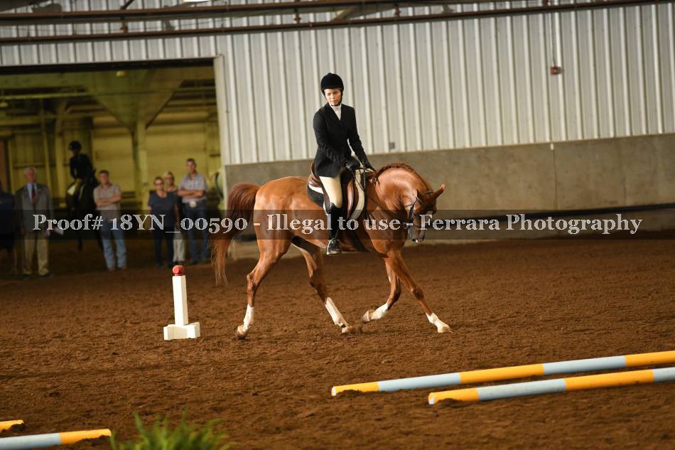 Proof 18YN_00590
