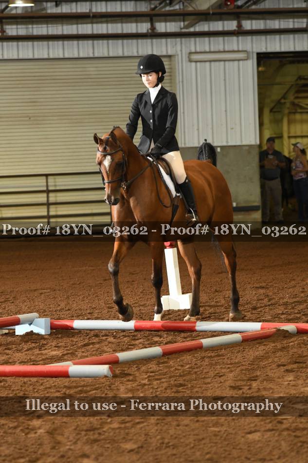 Proof 18YN_03262
