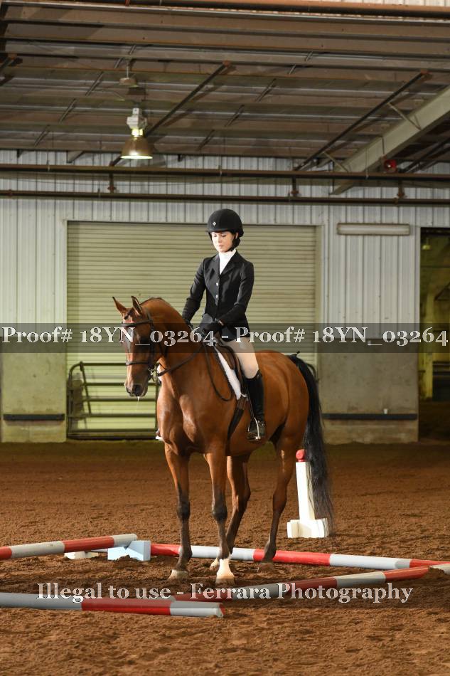 Proof 18YN_03264