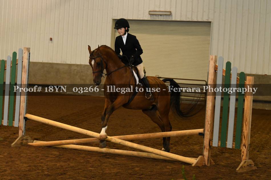Proof 18YN_03266
