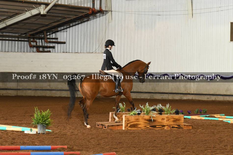 Proof 18YN_03267