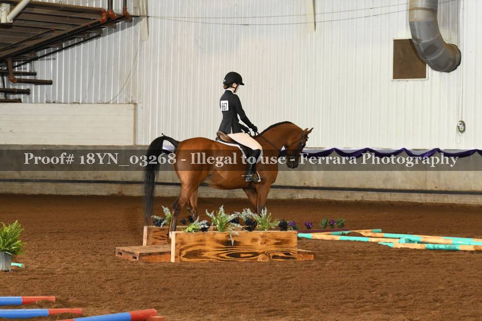 Proof 18YN_03268