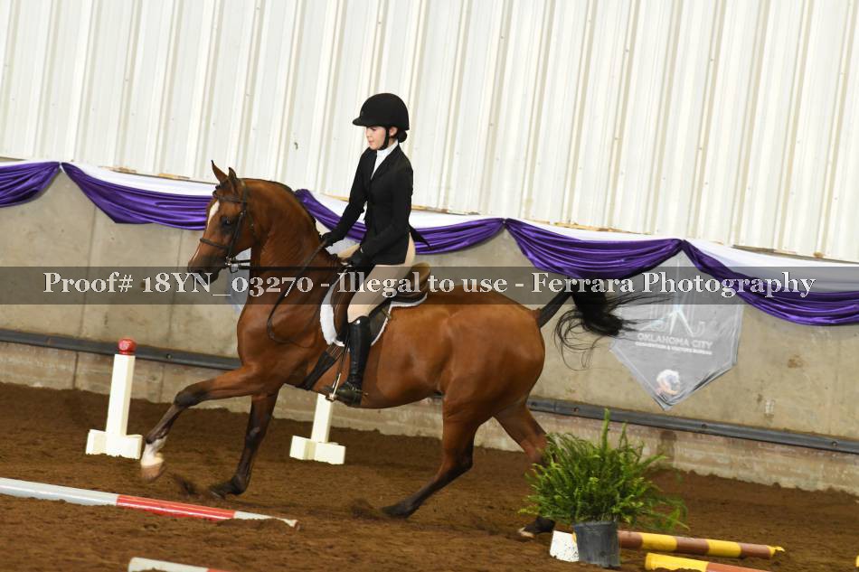 Proof 18YN_03270