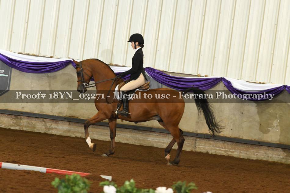 Proof 18YN_03271