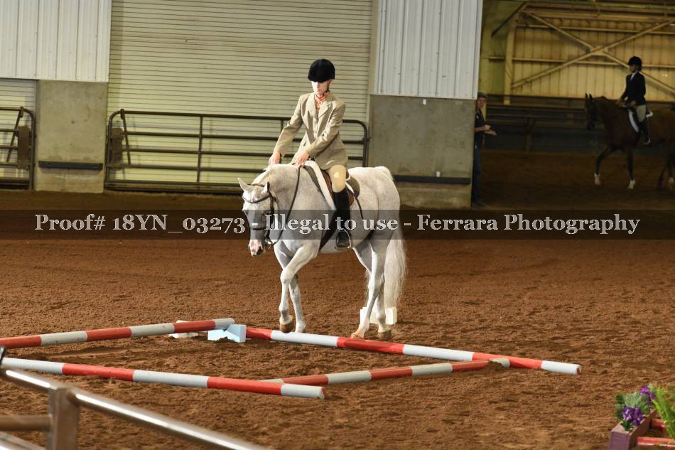 Proof 18YN_03273