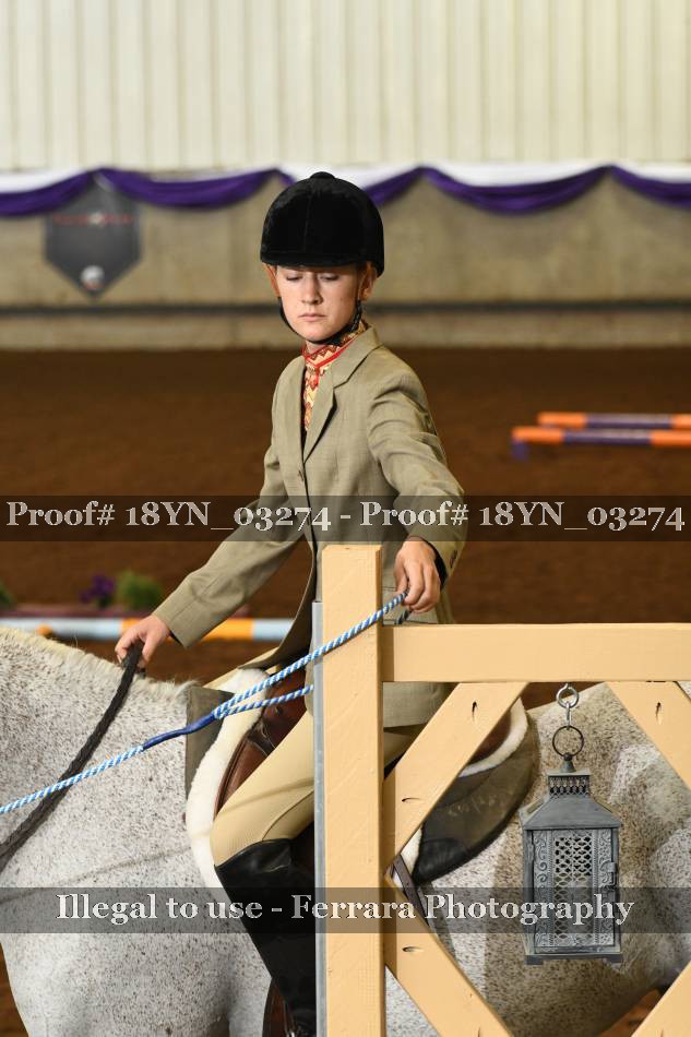 Proof 18YN_03274