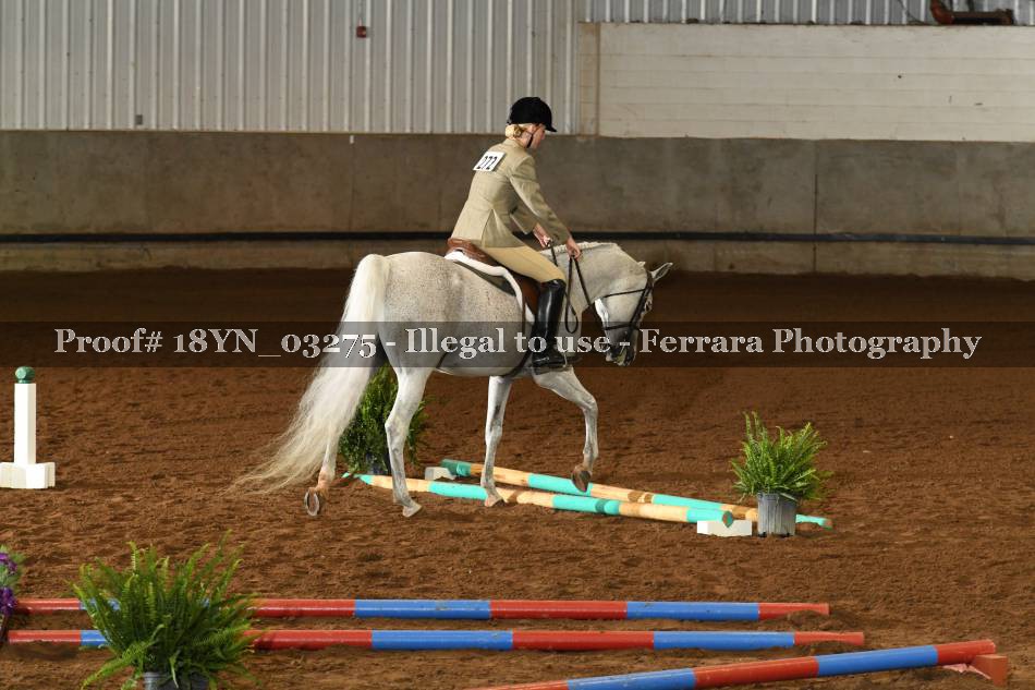 Proof 18YN_03275