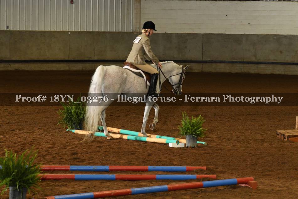 Proof 18YN_03276