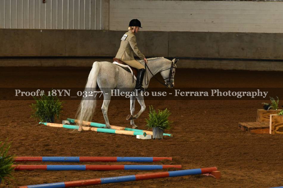 Proof 18YN_03277