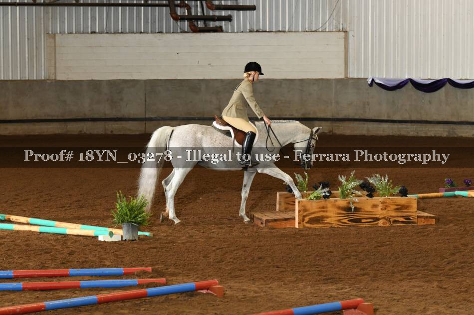 Proof 18YN_03278