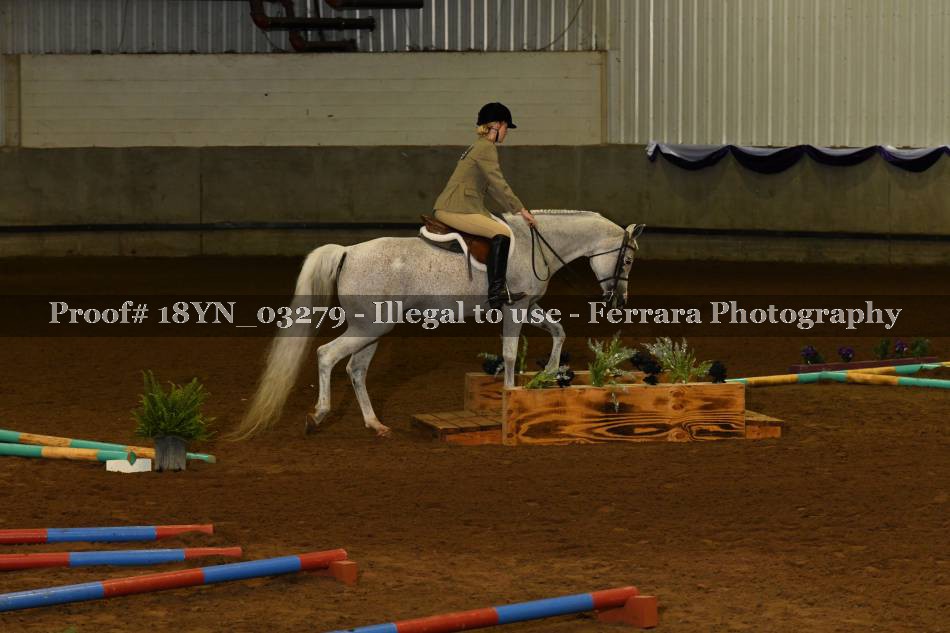 Proof 18YN_03279