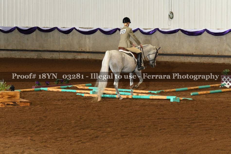 Proof 18YN_03281