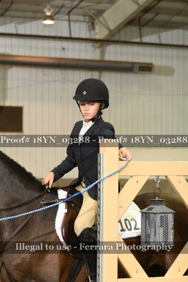 Proof 18YN_03288