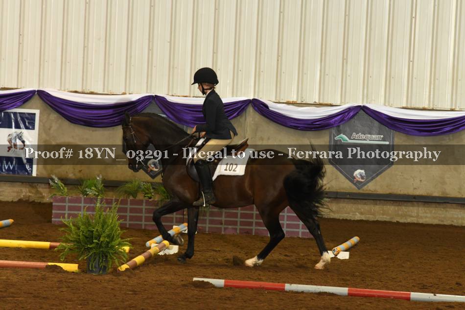 Proof 18YN_03291