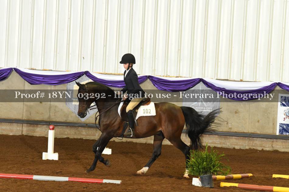 Proof 18YN_03292