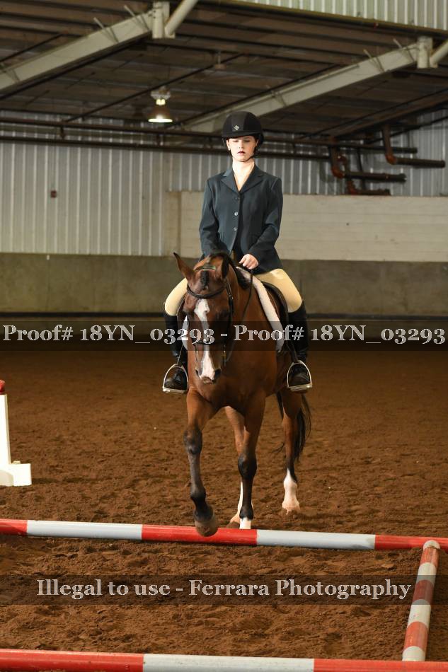 Proof 18YN_03293