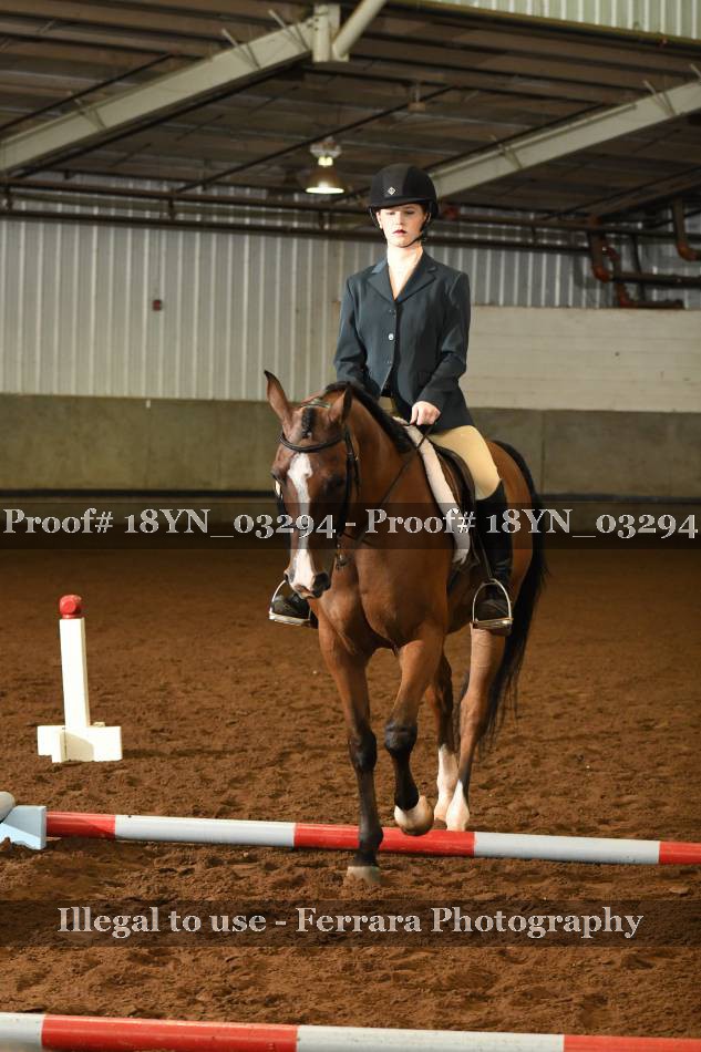 Proof 18YN_03294