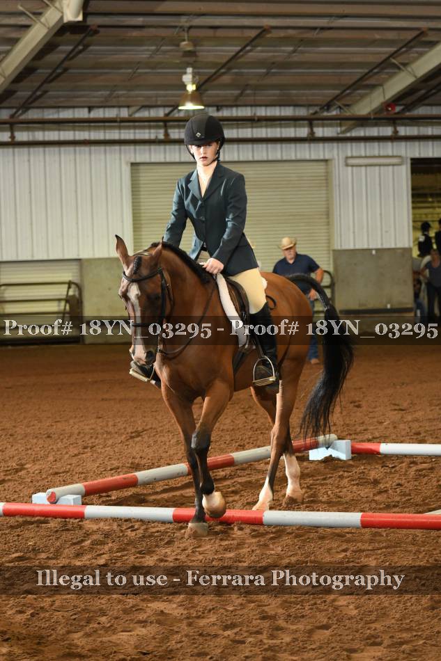 Proof 18YN_03295