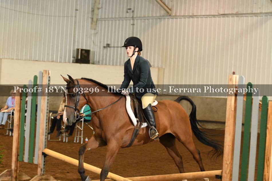 Proof 18YN_03296