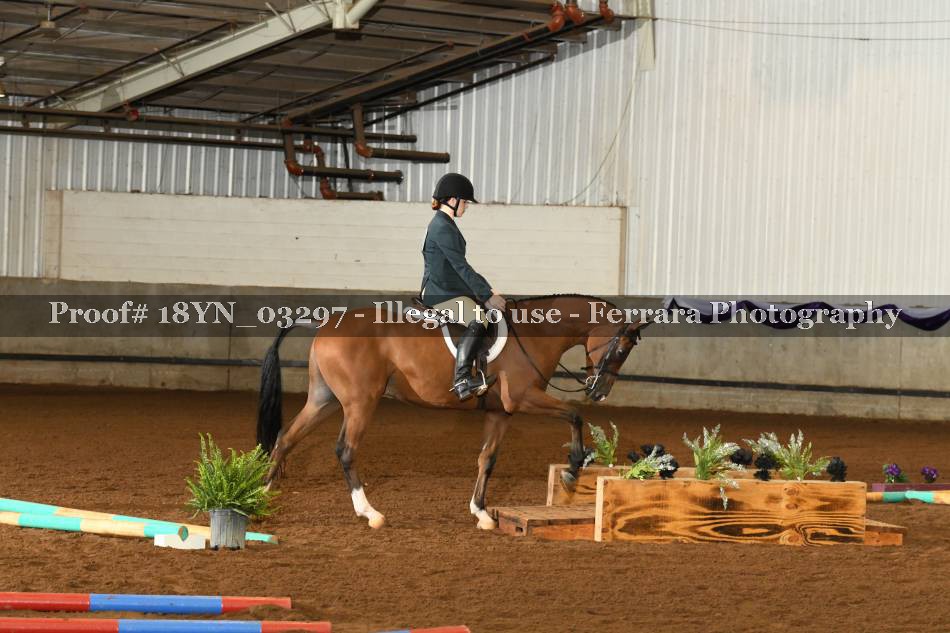 Proof 18YN_03297